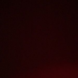 Meet your Posher, Dylan